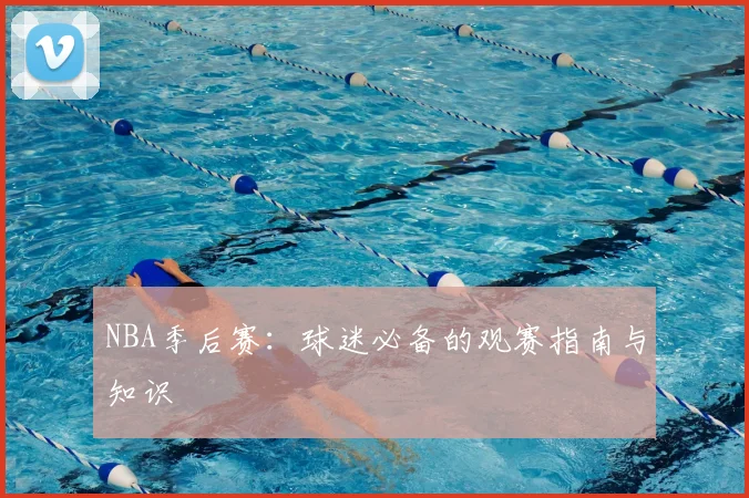 NBA季后赛：球迷必备的观赛指南与知识